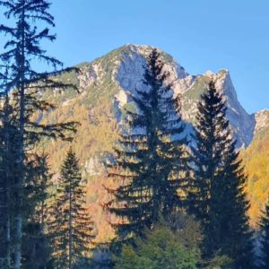 ASF 2024 Goldener Herbst in den Julischen Alpen_ Gröschel Reisen (43)