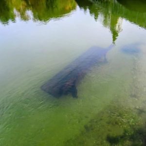 ASF 2024 Goldener Herbst in den Julischen Alpen_ Gröschel Reisen (56)
