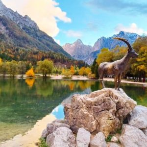 ASF 2024 Goldener Herbst in den Julischen Alpen_ Gröschel Reisen (93)