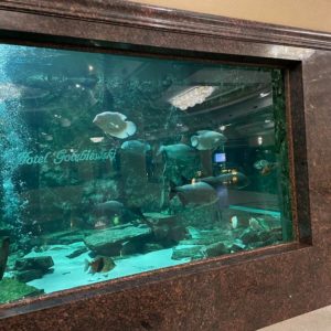 ASF_Riesengebierge Karpacz_Gröschel 2023 (23)