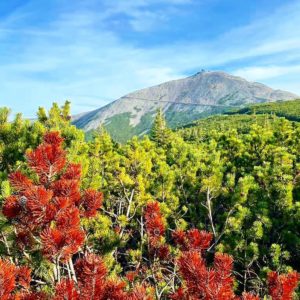 ASF_Riesengebierge Karpacz_Gröschel 2023 (67)