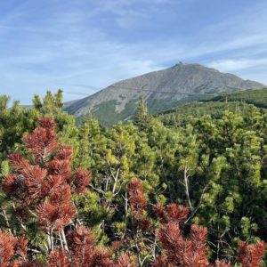 ASF_Riesengebierge Karpacz_Gröschel 2023 (87)