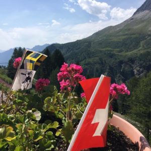 Bernina-Glacier-2017-heiko-Willfurth-(17)