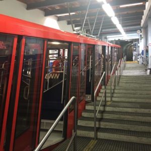 Bernina-Glacier-2017-heiko-Willfurth-(19)