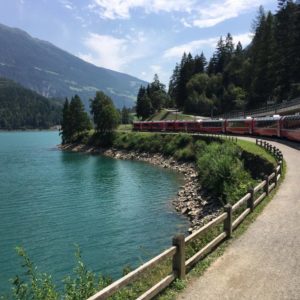 Bernina-Glacier-2017-heiko-Willfurth-(24)