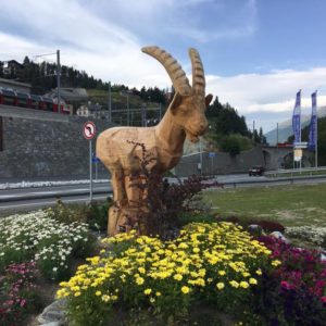 Bernina-Glacier-2017-heiko-Willfurth-(25)