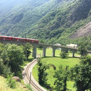 Bernina-Glacier-2017-heiko-Willfurth-(9)