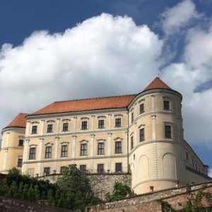 Fahrt-ins-Blaue-Sudmahren-c-Heiko-Willfurth-(25)