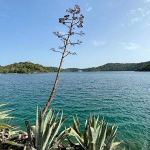 Fotos_MY Apolon_Gröschel_07.2023 (69)