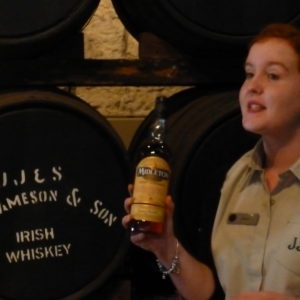 Irland-2013-WoSchi-(12)