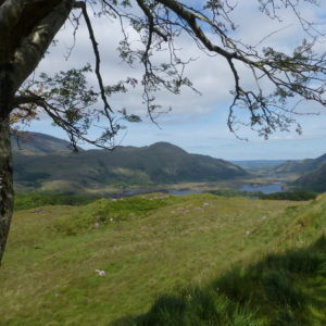 Irland-2013-WoSchi-(4)