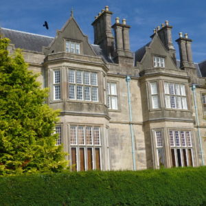 Irland-2013-WoSchi-(5)