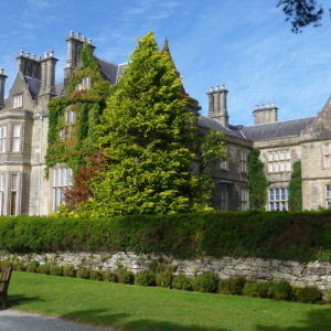 Irland-2013-WoSchi-(6)