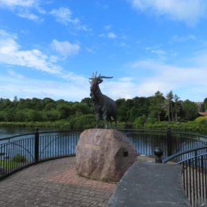 Irland 2025_Gröschel Reisen (10)