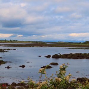 Irland 2025_Gröschel Reisen (11)