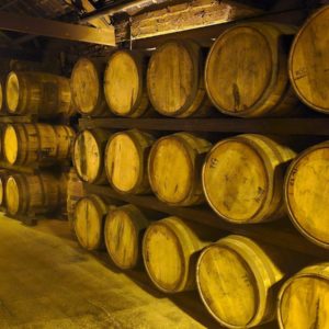 Irland 2025_Gröschel Reisen (22)