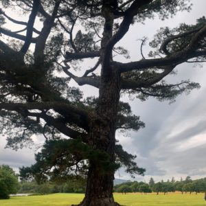 Irland 2025_Gröschel Reisen (4)