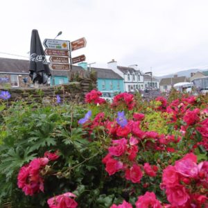 Irland 2025_Gröschel Reisen (7)