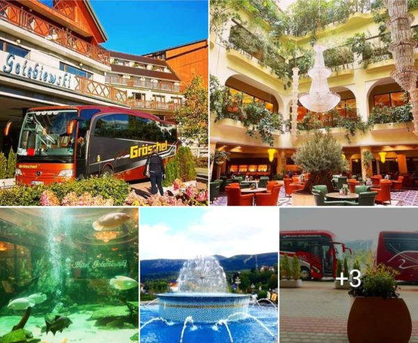 KM_ASF_Gröschel 2023 (2)