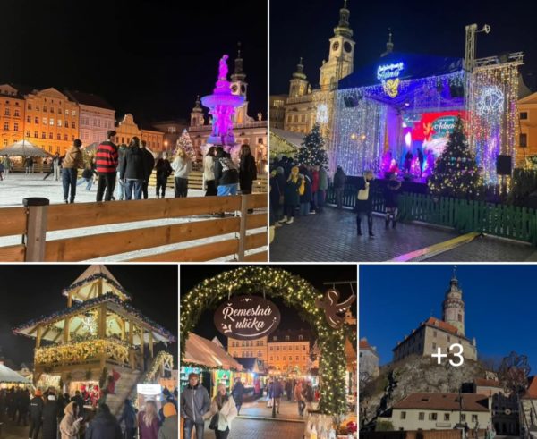 KM_Advent in Prag 2024 Gröschel (1)