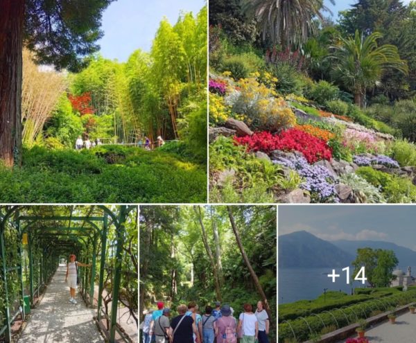 KM_Comer See - eine Landschaft zum Verlieben 2025 Gröschel (2)