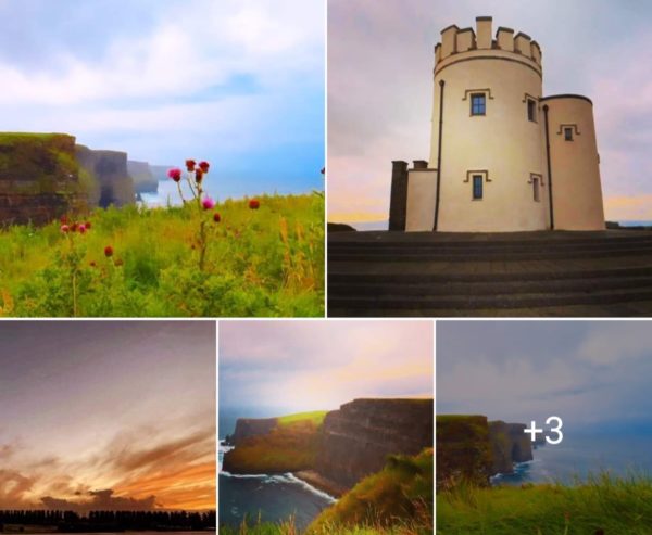 KM_Irland 2024 Gröschel (2)