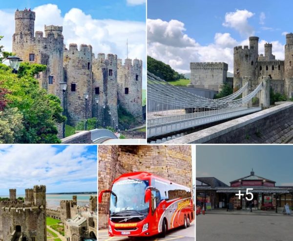 KM_Irland - die grüne Insel im Atlantik 2025 (2)