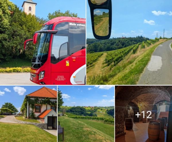 KM_Slowenische Toskana 2025 Gröschel