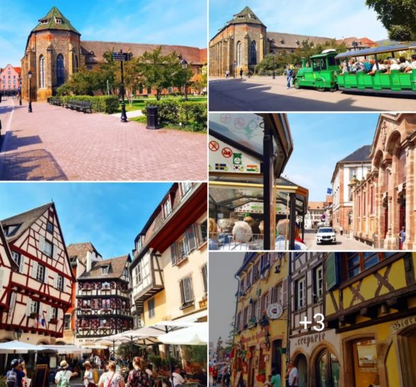 KM_Weinparadies am Kaiserstuhl 2025 Gröschel