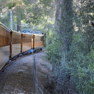 Mallorca-2014-Christina-Munzner-(1)