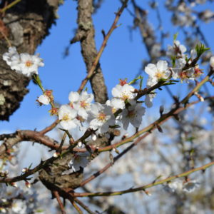 Mallorca-2014-Christina-Munzner-(14)