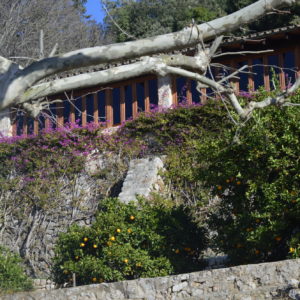 Mallorca-2014-Christina-Munzner-(15)