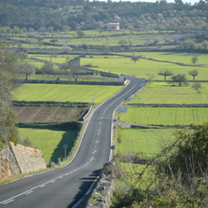 Mallorca-2014-Christina-Munzner-(25)