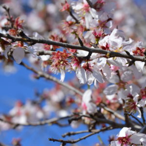 Mallorca-2014-Christina-Munzner-(27)