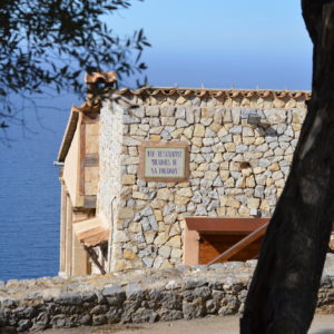 Mallorca-2014-Christina-Munzner-(33)