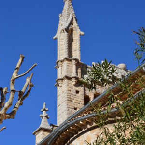 Mallorca-2014-Christina-Munzner-(38)