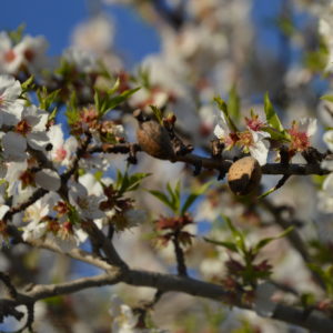 Mallorca-2014-Christina-Munzner-(4)