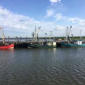 Nordfriesische-Inseln-2017-heiko-Willfurth-copyright-(10)