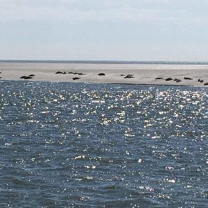 Nordfriesische-Inseln-2017-heiko-Willfurth-copyright-(14)