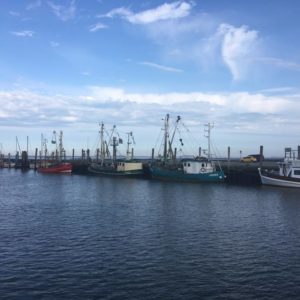 Nordfriesische-Inseln-2017-heiko-Willfurth-copyright-(22)