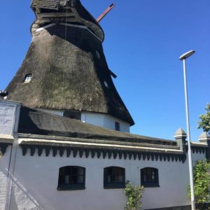 Nordfriesische-Inseln-2017-heiko-Willfurth-copyright-(24)