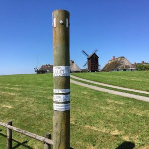 Nordfriesische-Inseln-2017-heiko-Willfurth-copyright-(28)