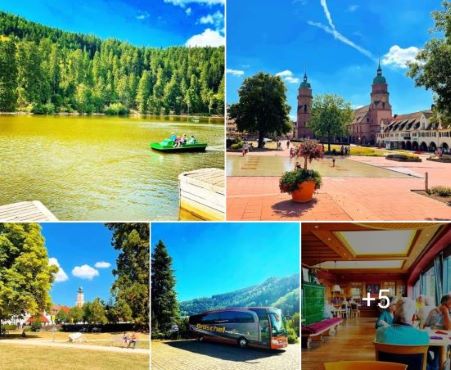 Schwarzwald Fotos August 2022_Instagram klein