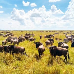 Tansania Rundreise & Sansibar_Gröschel Reisen 2024 (16)